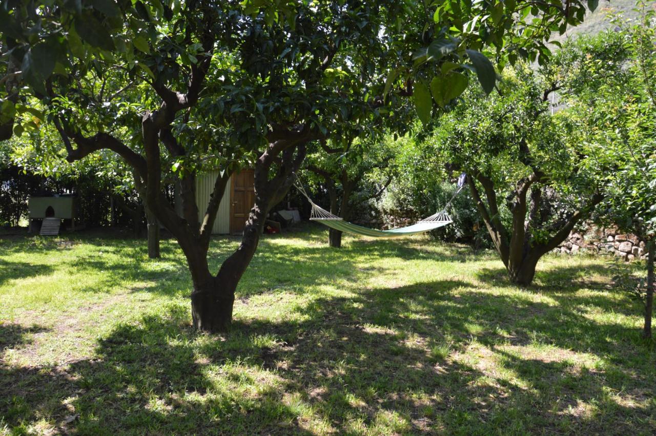 La Casa Di Barry Acomodação com café da manhã Pozzuoli Exterior foto